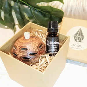 Aroma Scent Pod & LAVENDER Oil Gift Pack