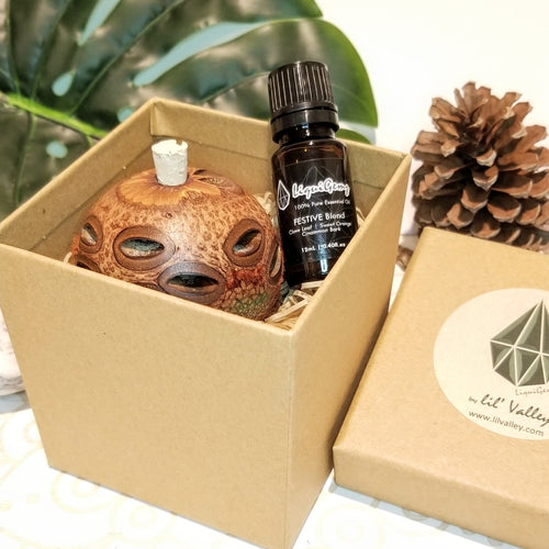 Aroma Scent Pod & FESTIVE Oil Blend Gift Pack